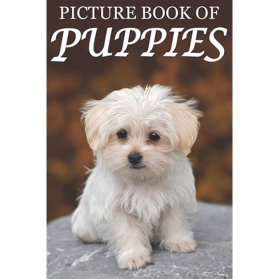 Pre-Owned Picture Book of Puppies: Picture Book of Puppies: For Seniors with Dementia [Cute Picture Books] (Paperback) 1689370211 9781689370219
