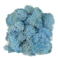 thumbnail image 4 of Mosser Lee ML9303 Lavender Blue Reindeer Moss, 8.8 Pound, 4 of 4