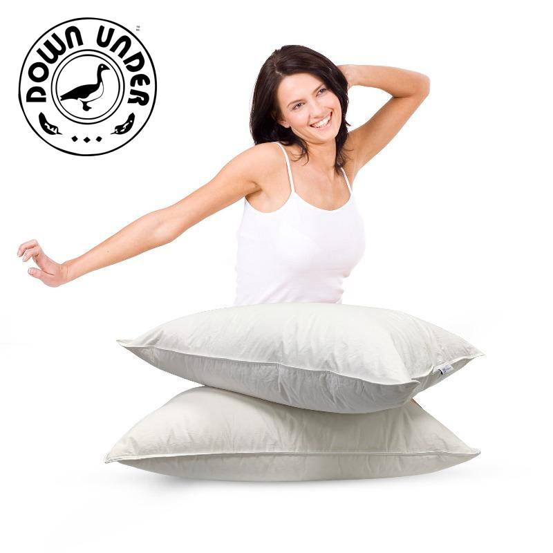 Down Under Bedding Prime Feather Bed Pillow 2 Pack Walmart Canada