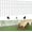 22 Panels, 31ft(L) x 13in(H), White, variant on 42.5ft(L) x 13in(H) Animal Barrier Fence, 30 Panels No Dig Garden Fence for Dog Rabbit, Rustproof Anti Digging Barrier, Garden Edging Border Ground Defense for Outdoor, Yard, Patio