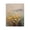 Wildflower Valley Impression, variant on Stupell Industries Wildflower Valley Impression Canvas Wall Art, design by Svetlana Aleynikova
