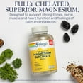 thumbnail image 3 of Suplemento Solaray de glicinato de magnesio 350 mg 120 cápsulas vegetales, 3 of 6