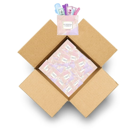 Light Rose Style Menstrual Kit All-in-One 60 Pack | Convenience on The Go | Period Kit Pack for Travelling, Tweens & Teenagers or just When You’re Out | Individually Wrapped Feminine Hygiene Product