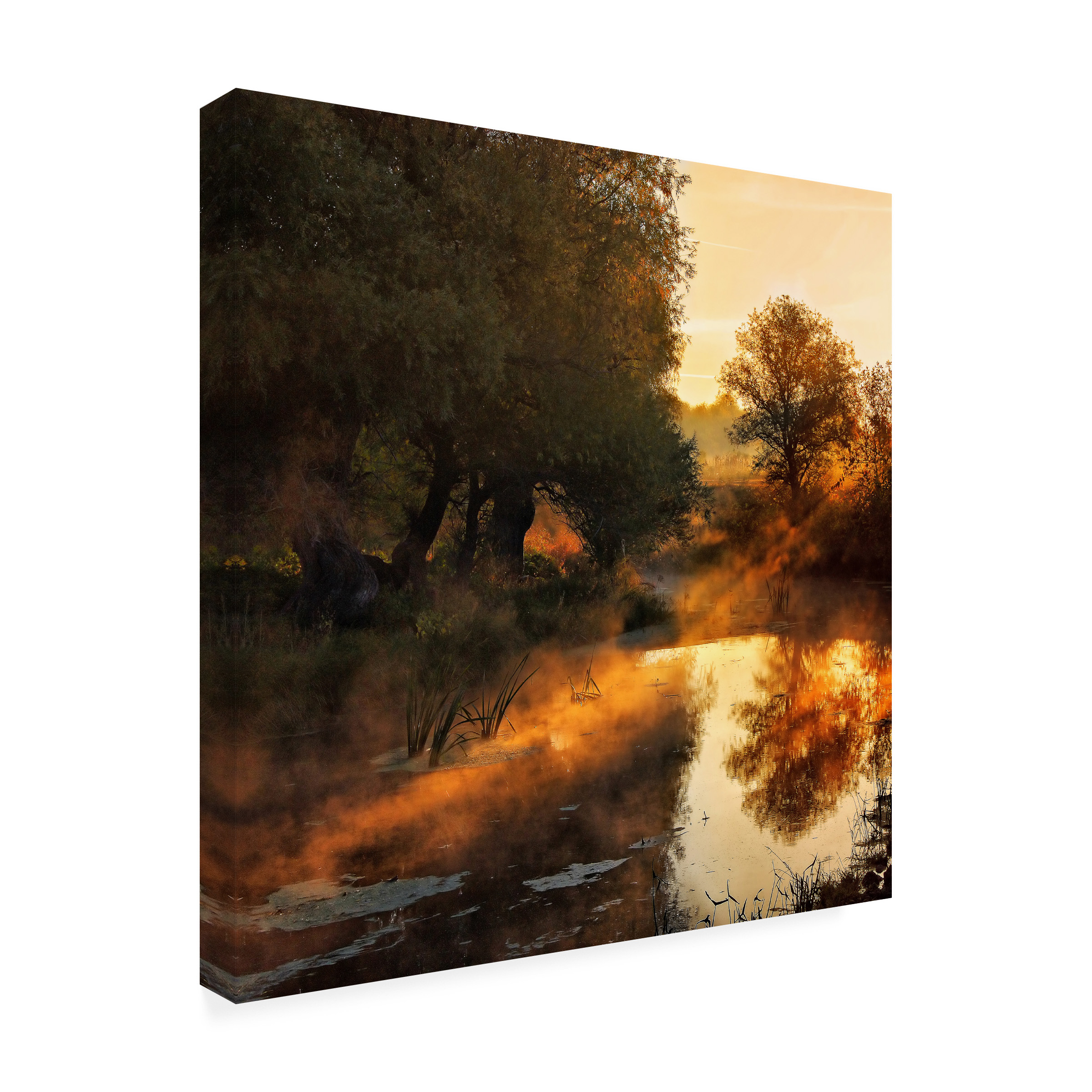 Leicher Oliver 'When Nature Paints With Light' Canvas Art