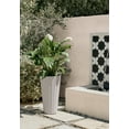 thumbnail image 6 of Veradek Column Series 26" Tall Plastic-Stone Planter 2 Pack - (White), 6 of 11