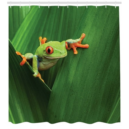 Animal Decor Shower Curtain Set Cute Red Eyed Frog Between Exotic