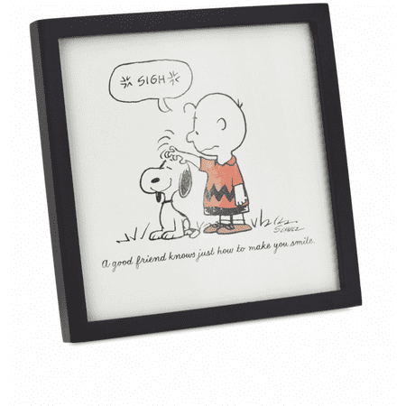 Hallmark Peanuts Charlie Brown Snoopy Friends Make You Smile Framed Artwork New