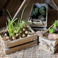 thumbnail image 3 of Solid Wood Crate With Rope Handles, 3 of 8