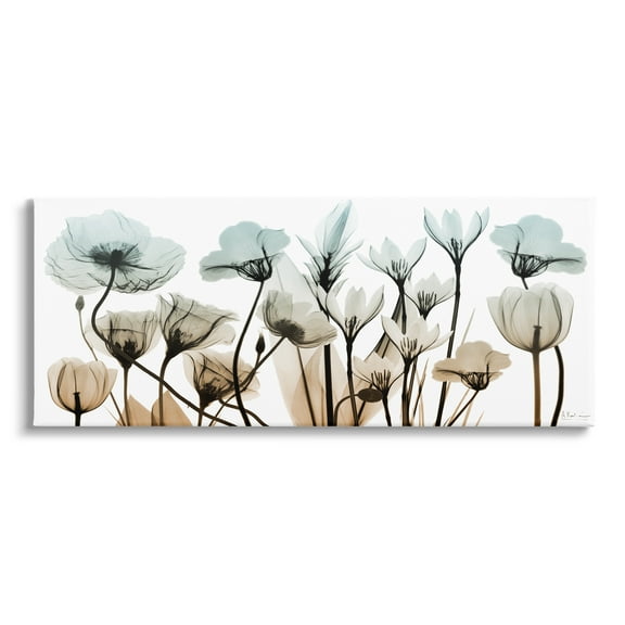 Stupell Industries Mixed X-Ray Flowers Botanical & Floral Photography Gallery Wrapped Canvas Print Wall Art, 30 x 13