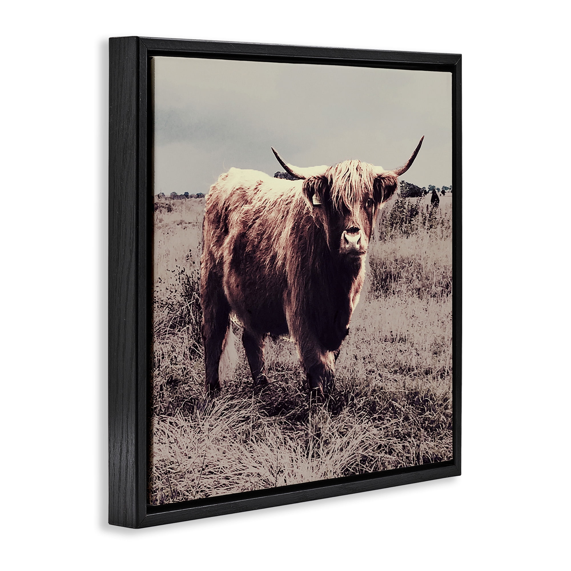 Stupell Industries Farm Cattle Rustic Vintage Styling Animals & Insects Painting Black Floater Framed Canvas Art Print Wall Art, 18 x 18