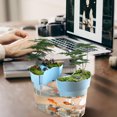 thumbnail image 3 of COOPHYA Multi-Function Assorted Color Plastic Desktop Aquarium Turtle Tank with Smooth Surface for Feeding, 3 of 6