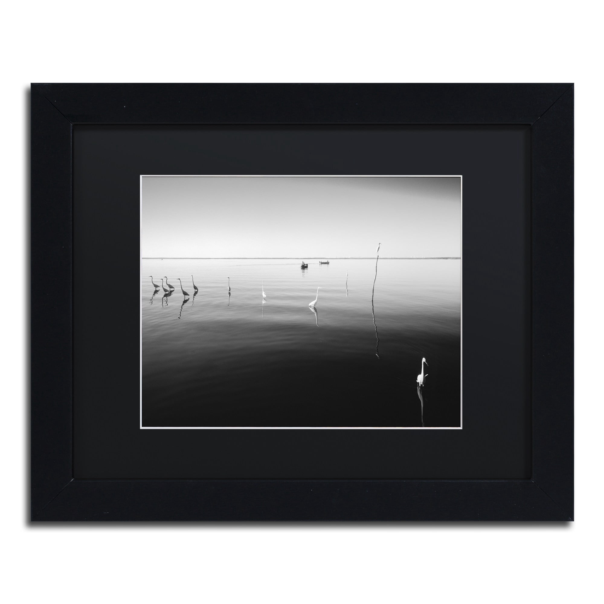 Trademark Fine Art "11 Herons" Canvas Art by Moises Levy Black Matte, Black Frame