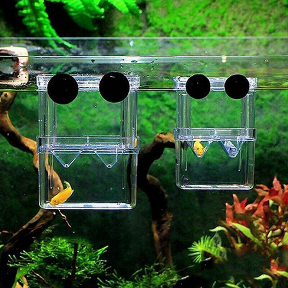1x Fish Breeding Box Shrimp Hatchery Fish Tank Incubator  Aquarium Tool