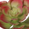 thumbnail image 4 of Mainstays Echeveria Plant Artificial Succulent Pick, 4 of 6