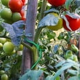 thumbnail image 2 of Weatherproof 3.5mm Gardening Wire for Securing Climbing Plant and Delicate Flower Stems, 2 of 8