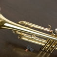 thumbnail image 1 of OUNONA Pièces d'Instrument 2 Pcs Roseau Suona pour Performances et Spectacles en Plastique Durable et Résine, 1 of 7