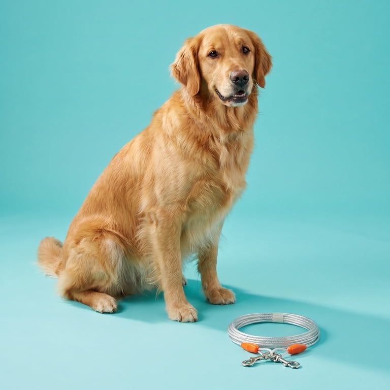 Vibrant Life Reflective Vinyl-Covered Tie-Out Cable for Dogs, 25 Ft photo 2