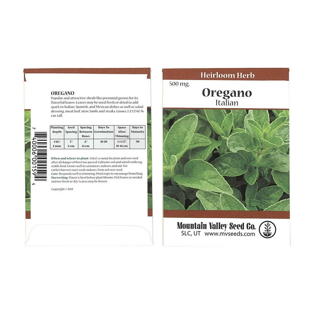 Common Italian Oregano Herb Garden Seeds 500 mg Packet NonGMO