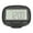 Black, variant on Riousery Distance Calorie Pedometer Big Screen Clock Display 2D Step Counter Multifunctional Walking Running Fitness Tracker with Back Clip Portable Waistband Calorie Counter Black