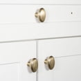 thumbnail image 2 of Grandeur 853601 Anneau 1-3/4" Solid Brass Classic Flat Oval Cabinet Knob - Grey, 2 of 7