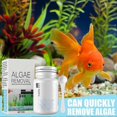 thumbnail image 4 of Multipurpose Algae Remover Fish Tank Water Purify Algae Removal Powder 50g, 4 of 4