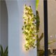 thumbnail image 3 of Toystoory 32.8ft Ivy 100LED Decoración de iluminación Solar Powered LED Fairy Vine Decoración Bombilla Cadenas de Iluminación navideña lámpara 5M 50 Toystoory HA027405-02, 3 of 6