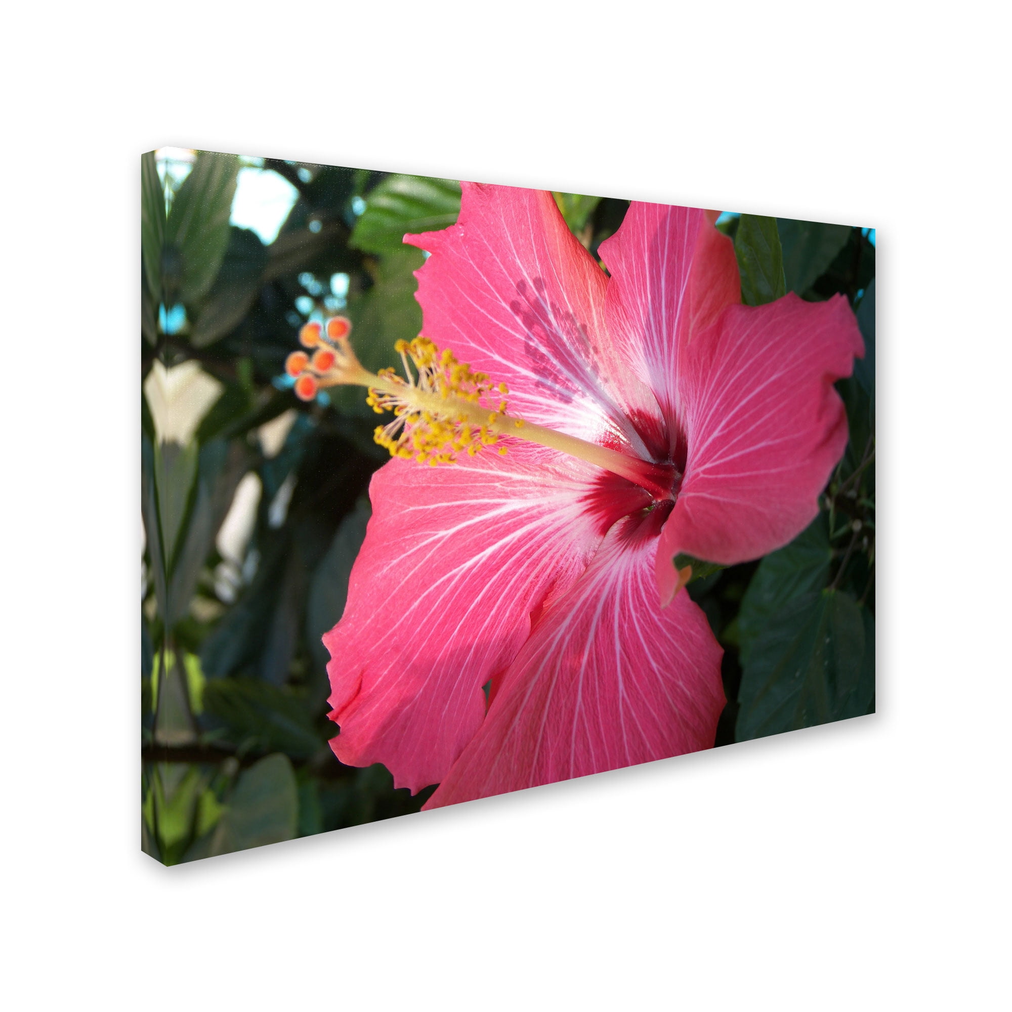 Trademark Fine Art "Empowering Bliss" Canvas Art by Monica Fleet
