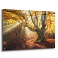 thumbnail image 2 of Epic Art 'Enchanted Forest,' Acrylic Glass Wall Art, 36"x24", 2 of 8