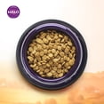 thumbnail image 3 of Halo Grain Free Natural Dry Dog Food, Healthy Weight Turkey, Turkey Liver & Duck Recipe, 21-Pound Bag, 3 of 8
