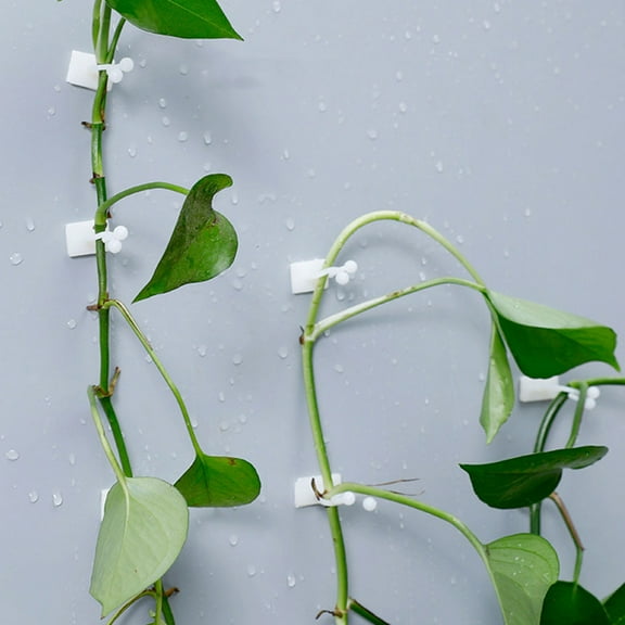 RENACLIPY 100Pcs White Resin Garden Orchid Fastening Clips Wall Sticky Hooks for Plant Support and Decoration