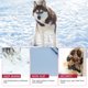 thumbnail image 5 of EeaseMX piezas de zapatos de nieve para perros de moda, de invierno, con protección para las patas, antideslizantes., 5 of 7