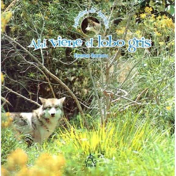 Pre-Owned Ahi Viene el Lobo Gris (Paperback) by Emma Romeu