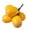 5 forks, variant on Artificial Loquat Decorative Loquat Fruit Model For Creatived Home And Business Decoration Projects