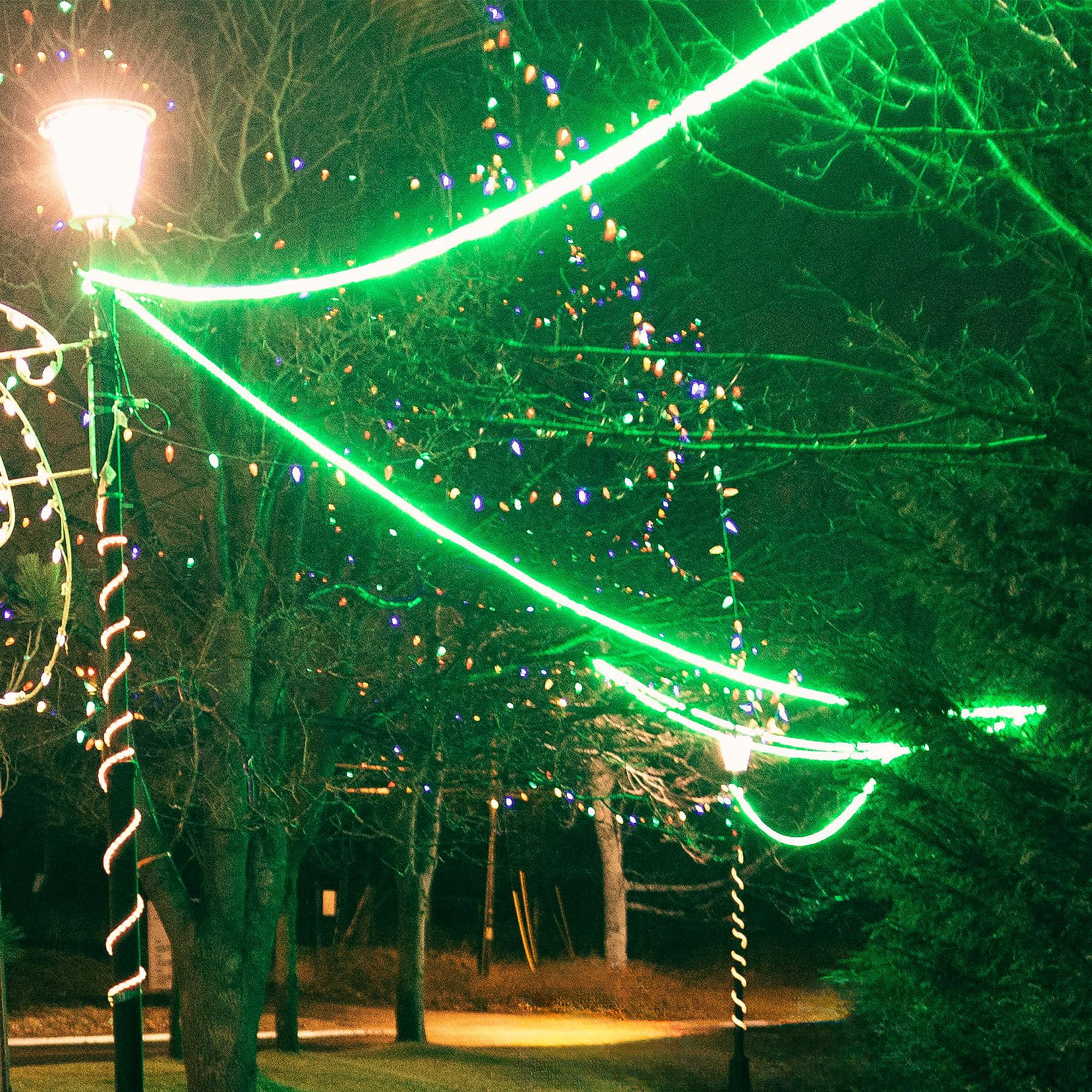 Northlight Flexible Incandescent Outdoor Christmas Rope Light - Green - 18' Clear Wire