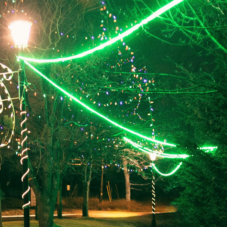 LEDクリスマスライト 暖色系 緑色ケーブル Northlight Flexible Incandescent Outdoor Christmas Rope Light