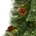 thumbnail image 5 of Nearly Natural 4' Green Pine Artificial Christmas Tree Prelit 100 Clear LED Lights and Pine Cones, 5 of 8