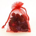 thumbnail image 1 of tredstone 100 Pieces Drawstring Gift Bags Mesh Beads Jewelry Storage Pouch Visible Transparent Solid Color Favors 9x12cm Red 9x12cm, 1 of 1