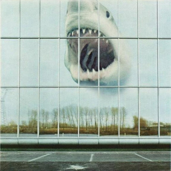 Black Mountain - Wilderness Heart - Music & Performance - CD