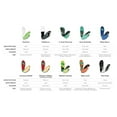 thumbnail image 4 of 10 Seconds� Unisex Ultra Arch Support Insoles Orange (1 pair)  ORANGE, 4 of 7