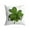 D, variant on St Patrick's Day Pillow Covers, Saint Patrick's Day Pillow Covers Decorations for Home, Green and White Throw Pillow Covers Shamrocks Gnomes Luck Hat Irish Flag Happy St Patricks Day