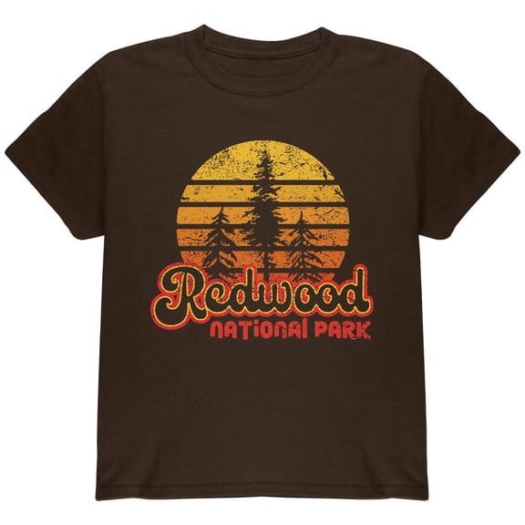 National Park Retro 70s Sunset Redwood Youth T Shirt Brown Youth X-SM