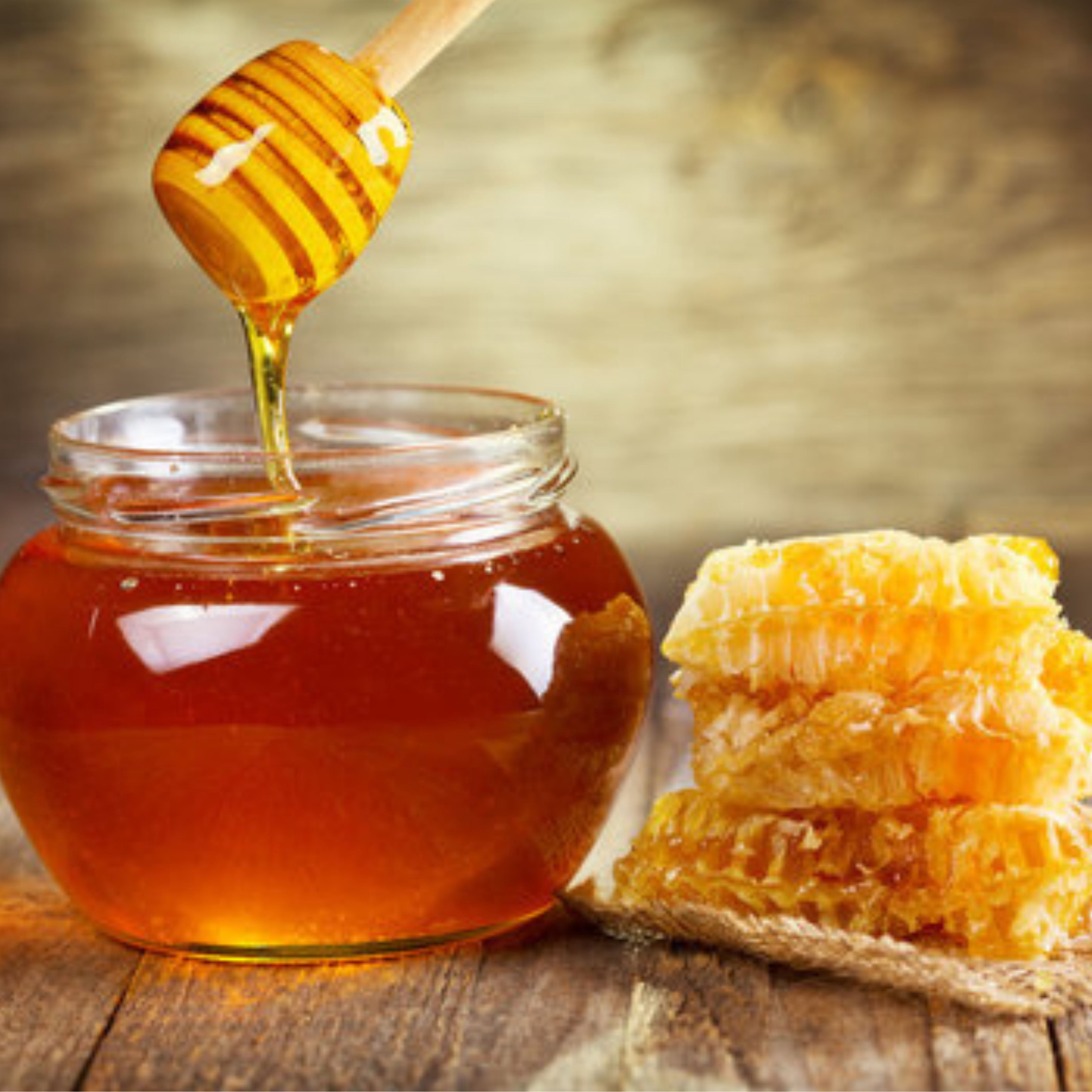 Pure Honey Packets – 50 Count, 0.5 oz Each, Single Serve, Kosher, Bulk Travel-Size Honey for Tea, Coffee, Snacks & Food Service
