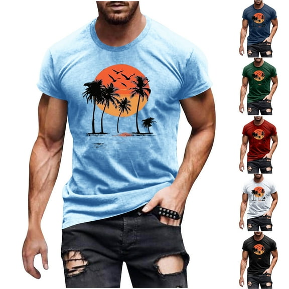 KeShDi Summer Mens Shirts Hawaiian Shirt Trendyable Men's Casual Printed Short Sleeved Crew Neck Top/Shirt Black 2X