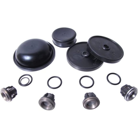 Hypro Complete Diaphragm and Valve Repair Kit for D30 Diaphragm Pump - D30REPAIRKIT