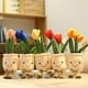 thumbnail image 2 of 25/35cm Lifelike Succulent Plants Plush Stuffed Decoration Toy Soft Bookshelf Decor Doll Potted Flowers Pillow for Girls Gift28cm yellow2 Deng Xun unisex, 2 of 2