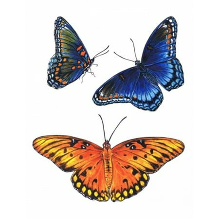 Red Spot Stone - Red Spotted Purple And Brilliant Eye Jewel Butterflies Canvas Art - Marilyn Barkhouse (18 x 24)