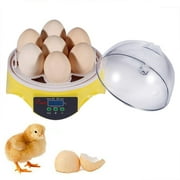 Mini Transparent 7 Egg Incubator Clear Chicken Poultry Hatcher w/ CE Certificated