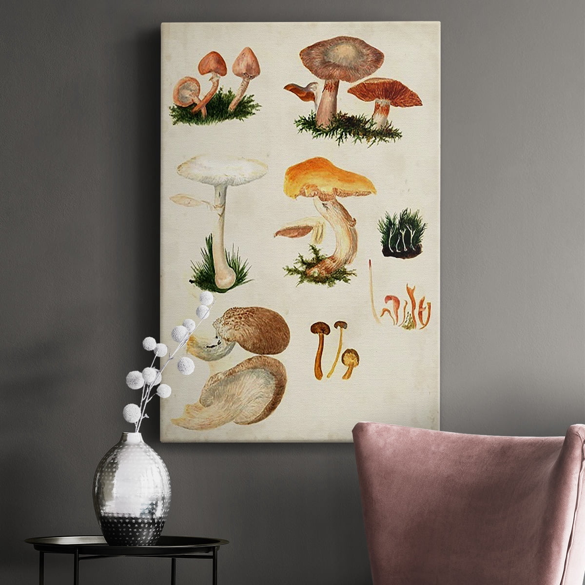 Mushroom Species IV Premium Gallery Wrapped Canvas - Ready to Hang
