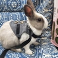 thumbnail image 4 of Rabbits Harness and Leash Set Gentlemanly Style Bunny Vest with Button Decor Small Animal Adjustable Soft Harness, 4 of 4