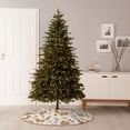 thumbnail image 6 of Sikiie Squirrel And Leaves Nativity Christmas Tree Skirt, Jesus Christian Winter Holiday Tree Mat Decoration(30-48IN)30", 6 of 6